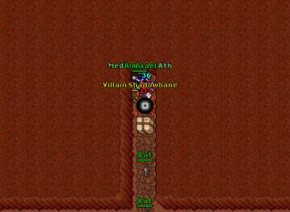 Villain Shadowbane · 30 Apr 2005