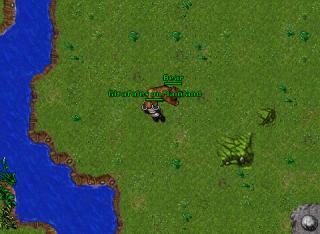 Girafales on Mainland · Tibia 8.54