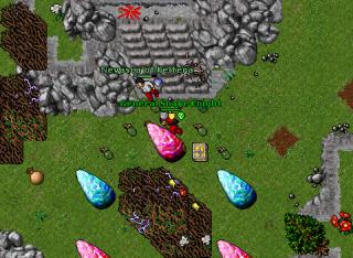 bloker wyv lvl 23