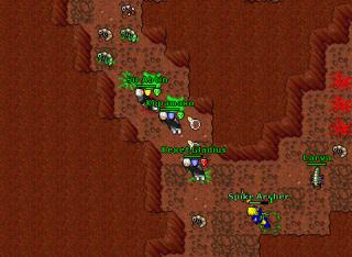 bestpking