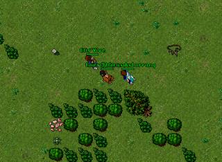 Chaserkilling