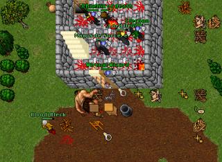 Wirtual Wizard · 25 Apr 2006
