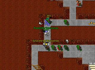 pking 13462