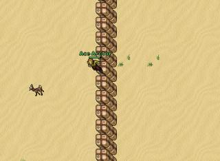 Ankh wall