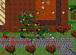 lvl 40 knight pk