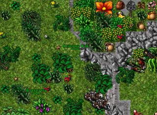 Bastionls1 22979 Eternia
