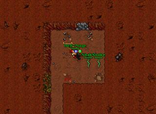 Hell-Mage-44MS-Valoria-PKING from Thais to AB-Battle in AB with High Knights