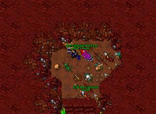 Aerplejn · Tibia 8.41