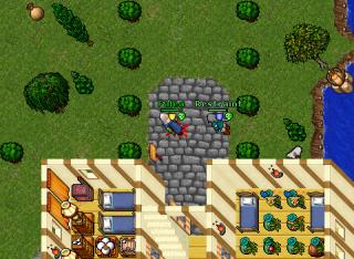 Falea · Tibia 7.60