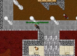 Girafales on Mainland · Tibia 8.54