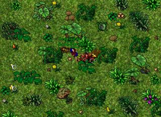Rare Dare Devil · Tibia 7.60