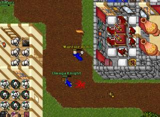 hacked pking 9885