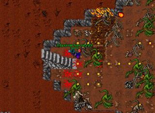 Elysium Sorcerer · Tibia 8.40