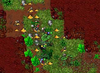 [Eternia] 98 ED, died because of botting