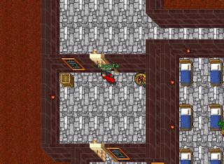 Rookgaardguide2