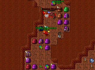 Timmy On Pacera · 12 Apr 2005