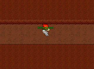 Light Bug
