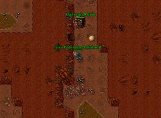 rotworm