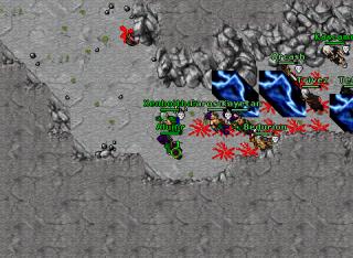 counter MASS 26924