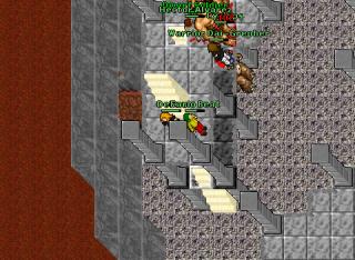 beheknights