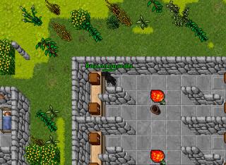 hackzin em guardia