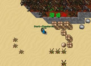 Dark-Wanderer · 30 Oct 2004