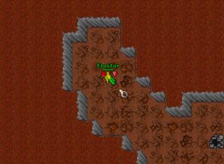 howtoown20knight