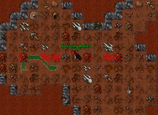 cavebotter 12935