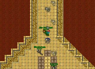 lvl 90 cavebotter2