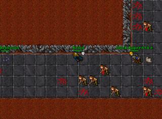 Ariou · Tibia 8.20