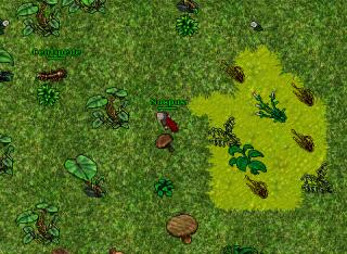 [7.6]PortHopeMageHunt