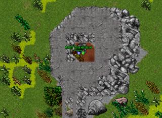 maxilius dragons
