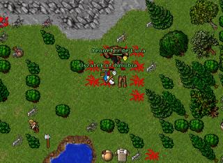 Uszaty pking