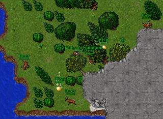 Girafales on Mainland · Tibia 8.54