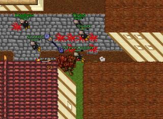 Steve Wonder · Tibia 7.60