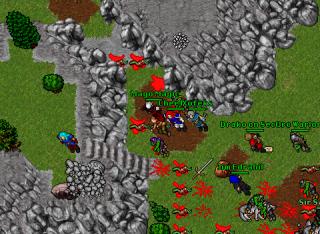 MMorcraid 13611