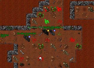 bs quest