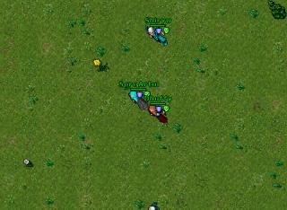 Sorc Artul · Tibia 8.54