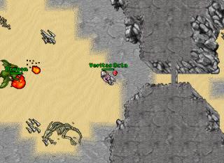 ankrahmun attack