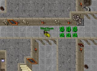 thorus 2