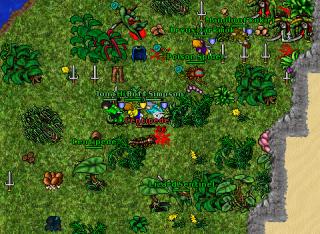 Lizard run quest