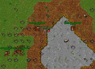 Garlerdonrun