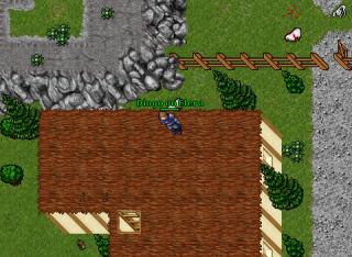 Diogo on Elera · Tibia 7.72
