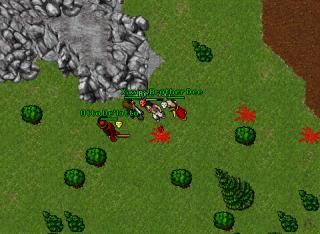 Bee'Jay · 1 Sep 2006