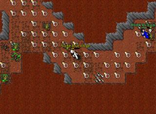 d-lair loot rox plx