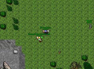 brPKing