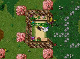 Bento Emanuel · Tibia 8.50