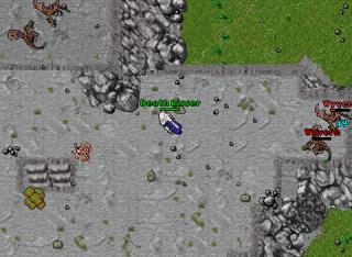 Wyvern 15415