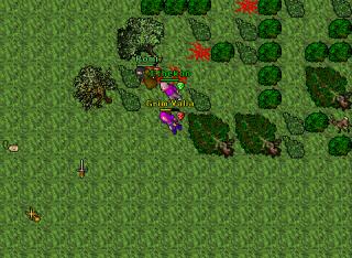 Grim'Valia · 20 Feb 2004
