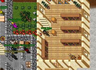 House Bug